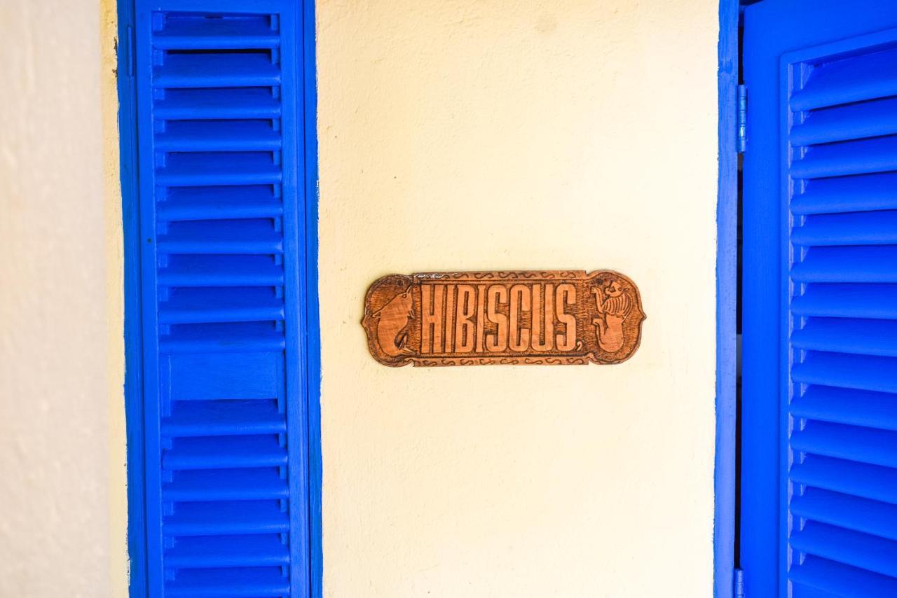 Hibiscus Beach House Pangani Exteriör bild
