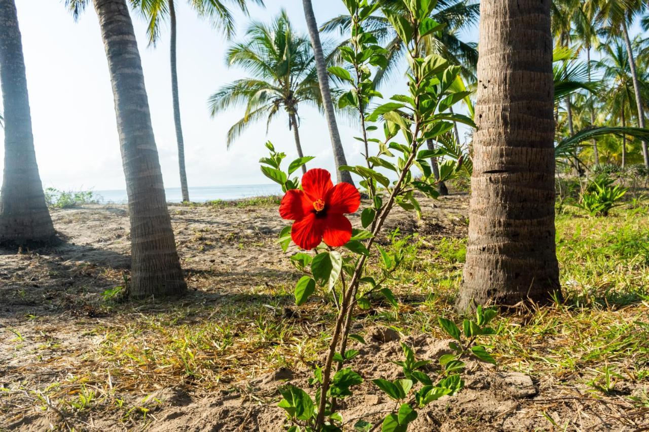 Hibiscus Beach House Pangani Exteriör bild