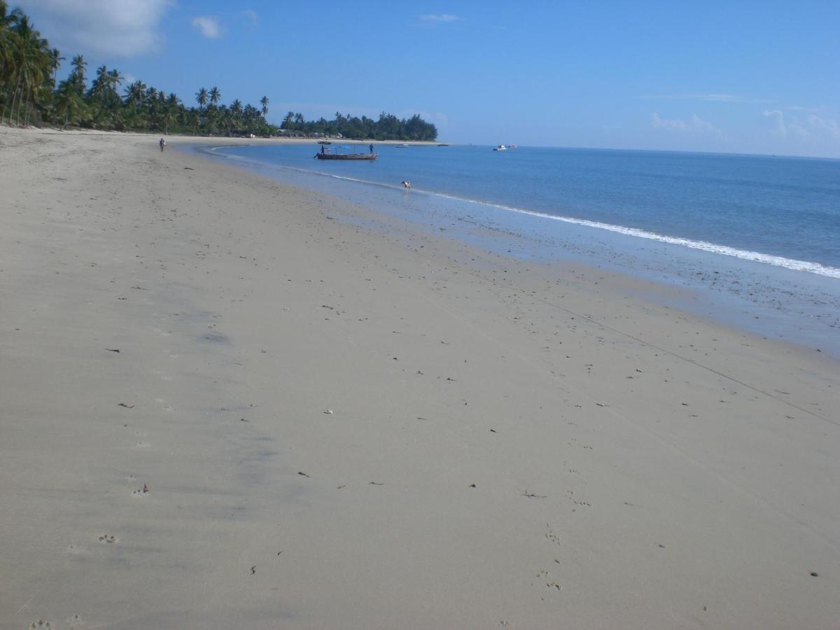 Hibiscus Beach House Pangani Exteriör bild